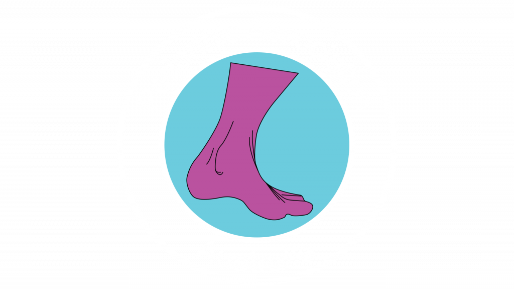 The logo for the Pedorthic Association of Australia.
