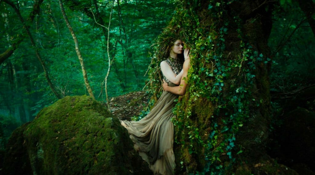 A woman is hugging a tree in the forest.