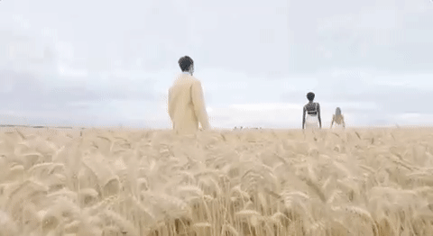Two people standing in a field of wheat.