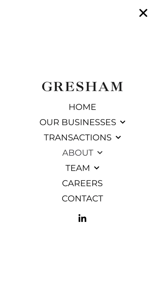 Screenshot of a website navigation menu with options: Home, Our Businesses, Transactions, About, Team, Careers, Contact, and a LinkedIn icon.